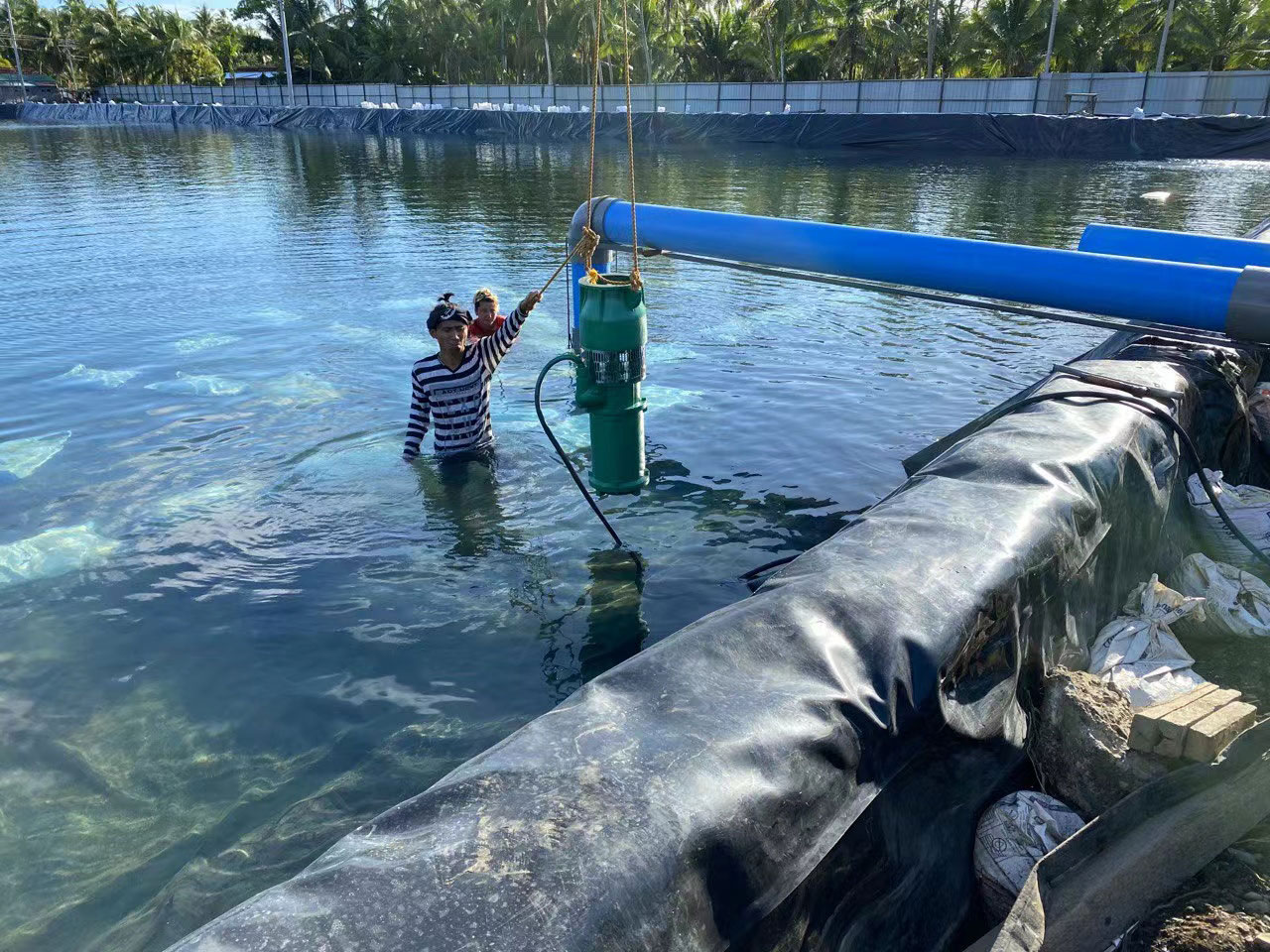 QSP fountain pumps perform well in Ho Chi Minh Vietnam